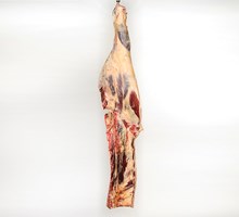 Sirloin and whole Fillet (bone-in) Meat Cut Spec Step 2
